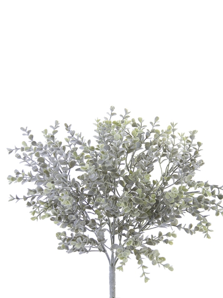 Picture of 14" EUCALYPTUS BUSH X 7