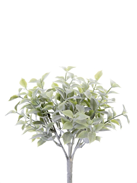 Picture of 11" LAUREL  LF BUSH