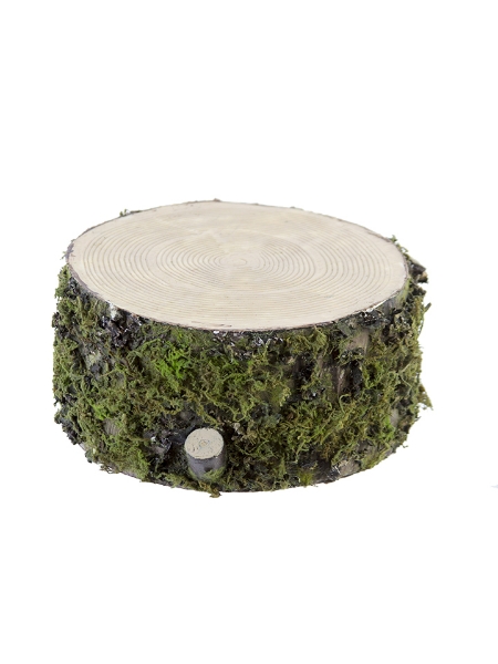 Picture of 7" MOSS LOG DISC