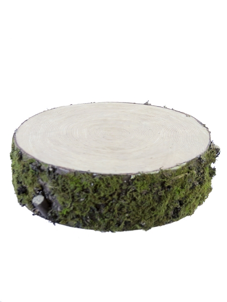 Picture of 12" LOG W/MOSS DISC