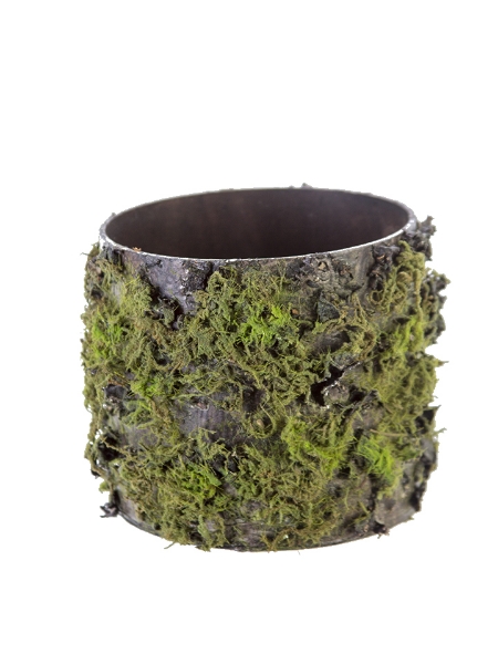 Picture of 4.5" LOG W/MOSS POT