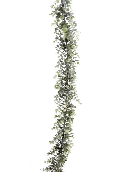 Picture of 6'  EUCALYPTUS GARLAND