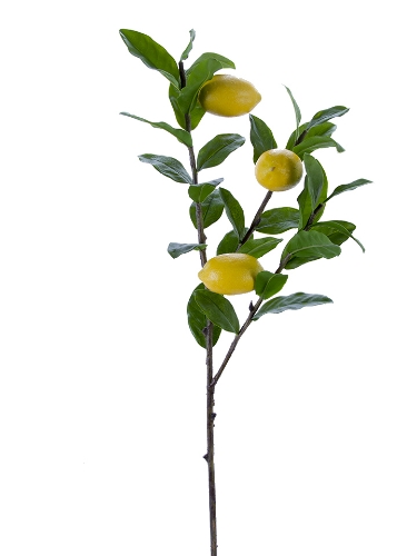 Picture of 40" LEMON SPRAY