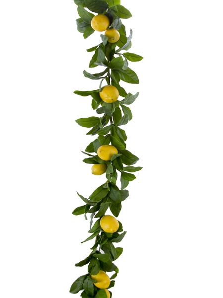 Picture of 5' LEMON GARLAND