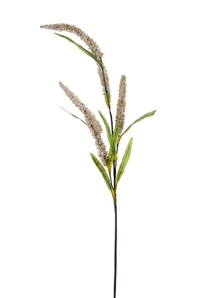 Picture of 47" FOXTAIL SPRAY