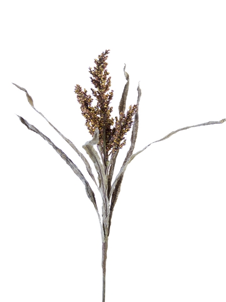 Picture of 19" DRIED SORGHUM W/LVS SPRAY