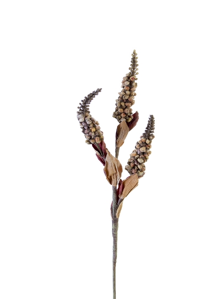 Picture of 19" DRIED SEED STEMS X3