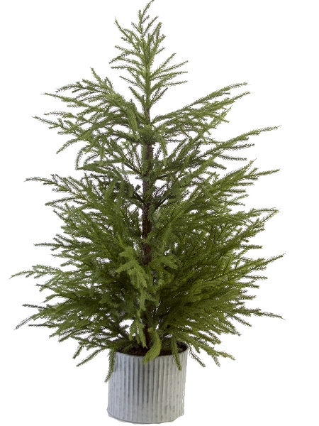 Picture of 42" FIR PINE TREE