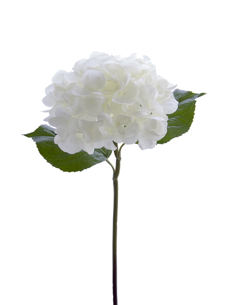 Picture of 22" GRAND HYDRANGEA