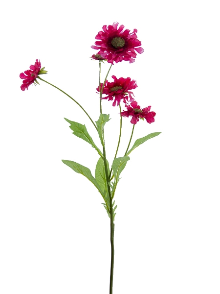 Picture of 35" SCABIOSA FLOWER  SPRAY