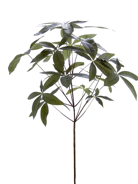 Picture of 40"CHINESE MONEY TREE SPRAY