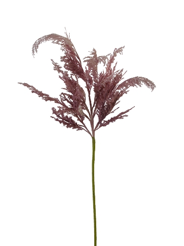 Picture of 60" LARGE PAMPAS GRASS SPRAY