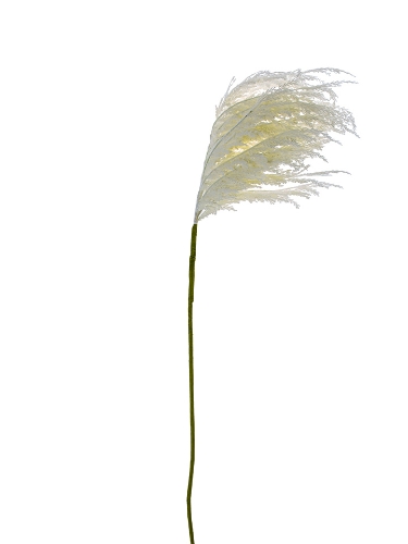 Picture of 60" PAMPAS GRASS SPRAY