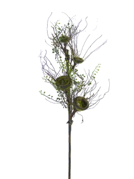 Picture of 34" BIRD'S NEST BRANCH