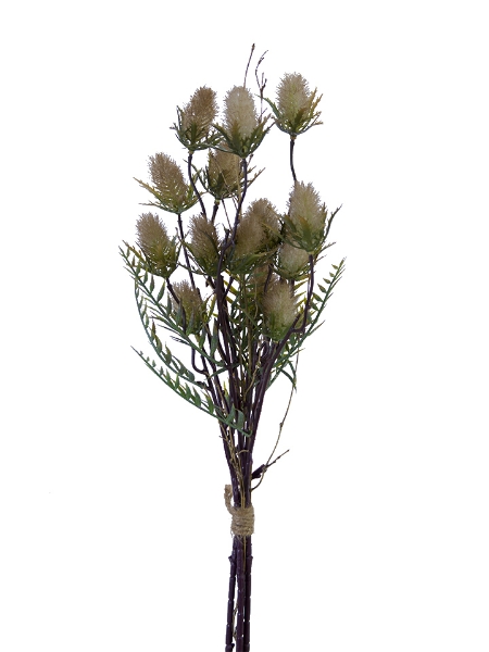 Picture of 23'' PUSSY WILLOW BUNDLE