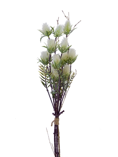 Picture of 23'' PUSSY WILLOW BUNDLE