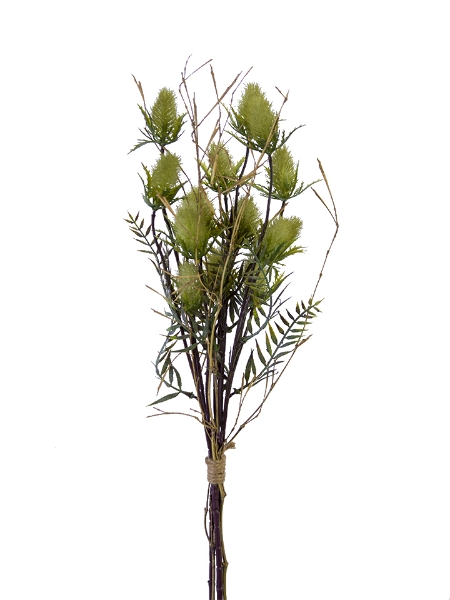 Picture of 23'' PUSSY WILLOW BUNDLE