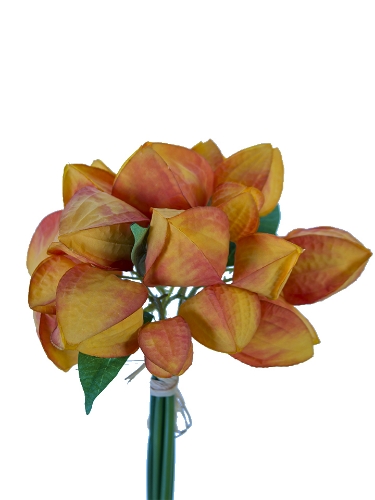 Picture of 12" LANTERN BUNDLE