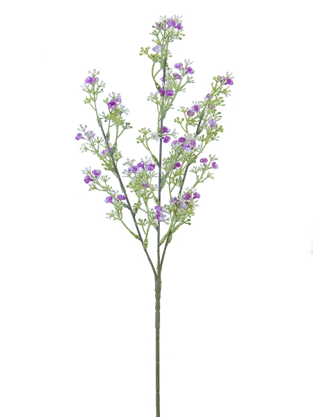 Picture of 25.6"WILD BABYSBREATH SP X3