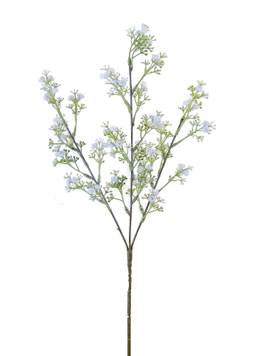 Picture of 25.6" WILD BABYSBREATH SPRAY X3