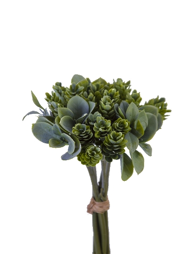 Picture of 11" HOPS BUNDLE