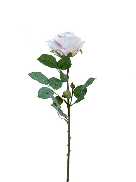 Picture of 24" STANDARD ROSE