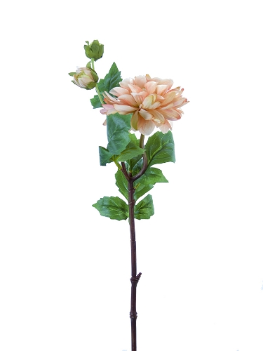 Picture of 25" DAHLIA STEM