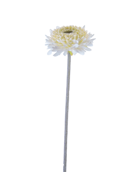 Picture of 18.5" CHRYSANTHEMUM STEM