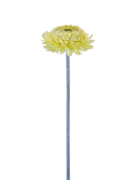 Picture of 18.5" CHRYSANTHEMUM STEM