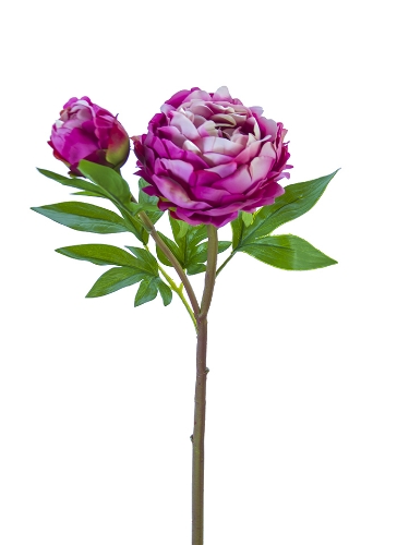 Picture of 26" FRESH TOUCH HEIRLOOM PEONY
