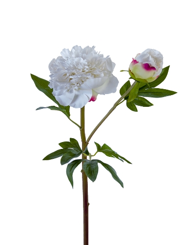 Picture of 26" FRESH TOUCH RUFFLED PEONY