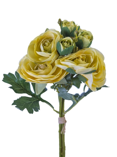 Picture of 17.5" ITALIAN RANUNCULUS BUNDLE