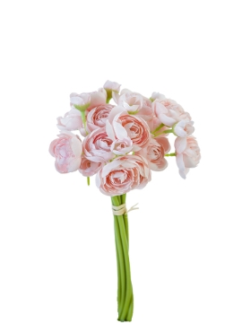 Picture of 11" MINI RANUNCULUS BUNDLE