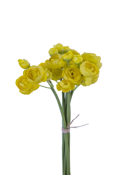 Picture of 11" MINI RANUNCULUS BUNDLE