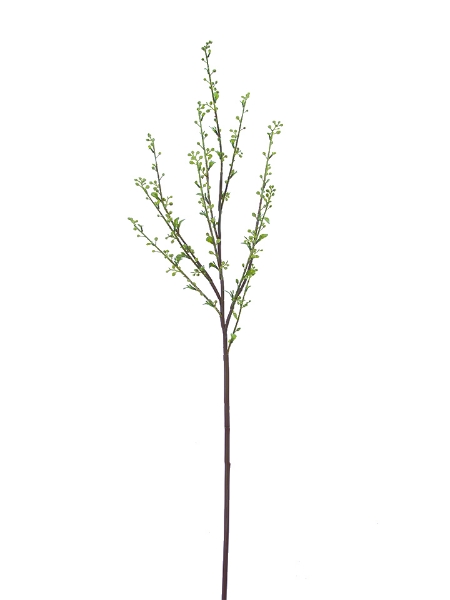 Picture of 39" SPIREA BRANCH