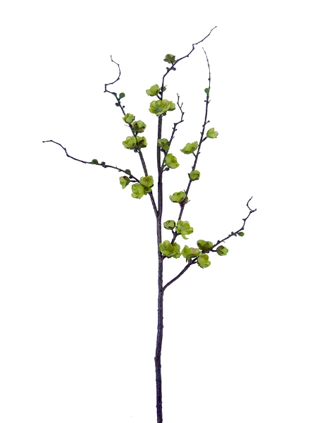 Picture of 35" PLUM BLOSSOM BRANCH