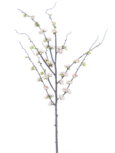 Picture of 51" PLUM BLOSSOM BRANCH