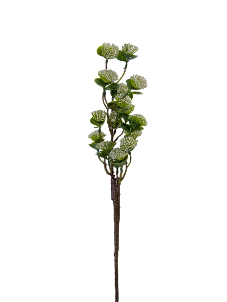 Picture of 34" CLOVER BUD SPRAY