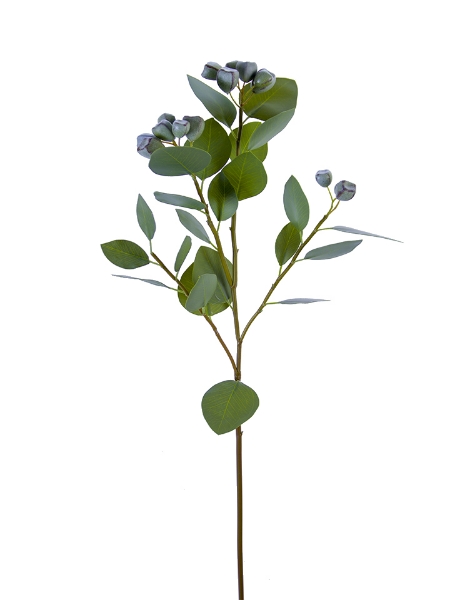 Picture of 29" EUCALYPTUS SPRAY W/BUDS