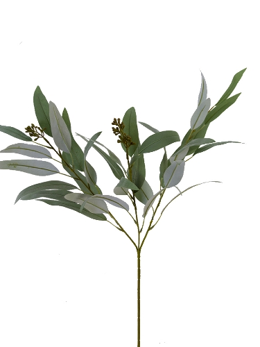 Picture of 28" EUCALYPTUS LEAF SPRAY