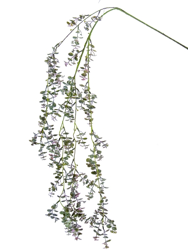 Picture of 55" HANGING PEBBLE EUCALYPTUS