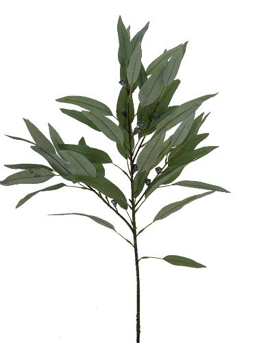 Picture of 34.5" EUCALYPTUS PODS SPRAY