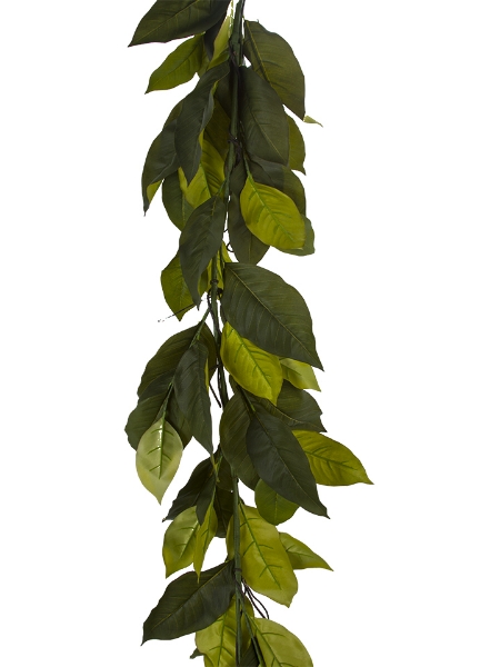 Picture of 6' BAYLEAF GARLAND