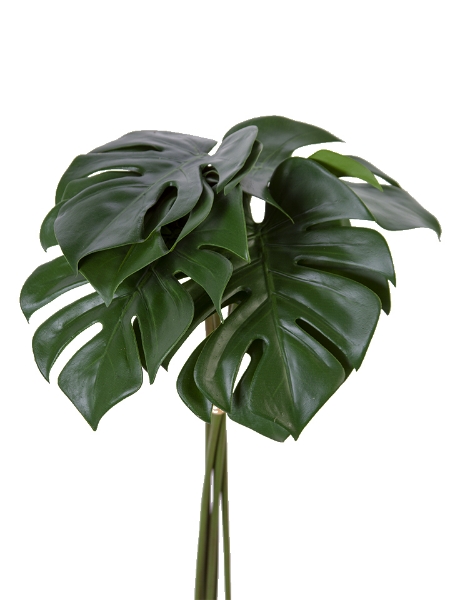 Picture of 20.5"MONSTERA LEAF BUNDLE