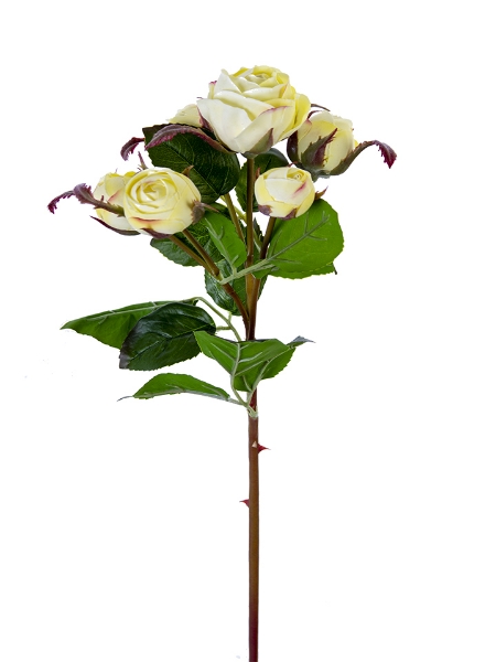 Picture of 22" ENGLISH ROSE BUDS X6