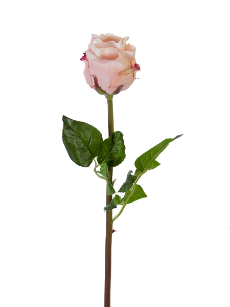 Picture of 25" BEAUTY ROSE BUD STEM