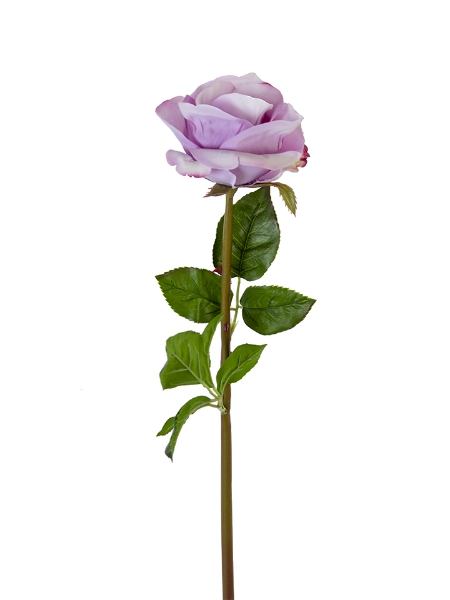 Picture of 25" BEAUTY ROSE BUD STEM