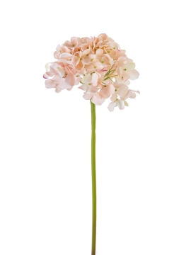 Picture of 21" FRESH TOUCH GARDEN HYDRANGEA