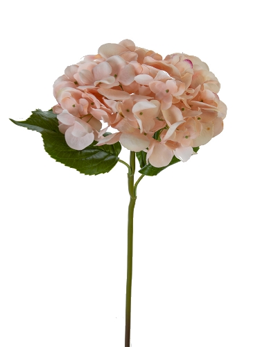 Picture of 22" FRESH TOUCH GRAND HYDRANGEA