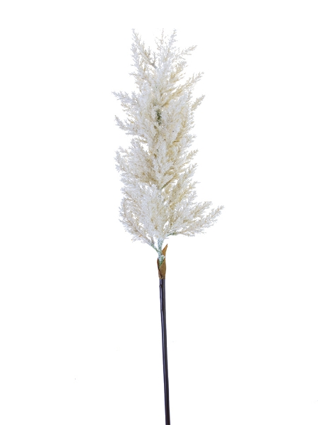 Picture of 34.5" DRIED ASTILBE SPRAY